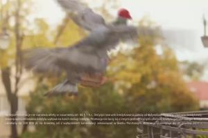 Gołębie reklamują Kredyt Pocztowy w Banku Pocztowym