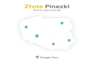 Złote Pinezki Google 2022